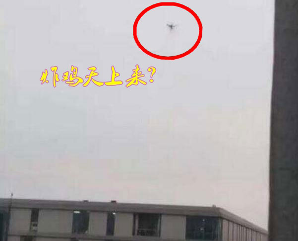 炸雞天上來，可知「炸機」危害性？